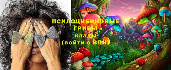 мдпв Белокуриха