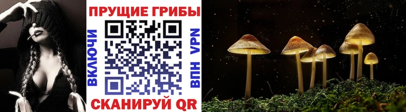 Галлюциногенные грибы Cubensis  цены наркотик  Урай 
